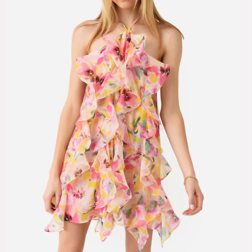 Misa Los Angles NWOT ruffle dress